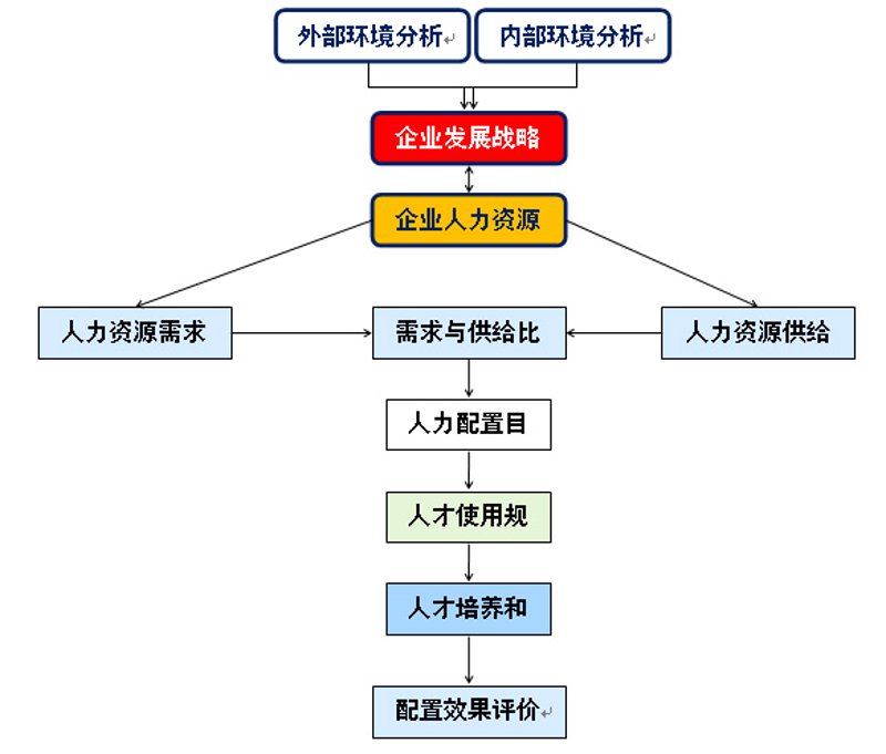 在企业组织发展中，有效的管理离不开对人才和资源的合理配置。其中，人力资源规划是关键步骤之一。